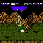 Battletoads Usa