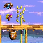 Donkey Kong Country 3 U Independent