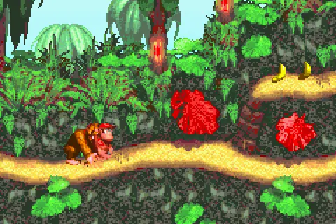 donkey kong country u evasion