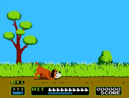 duck hunt world