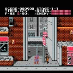 Ninja Gaiden Usa
