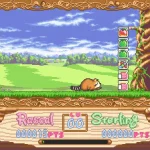 Araiguma Rascal Japan