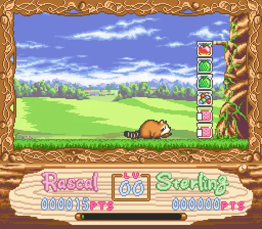 araiguma rascal japan