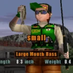 Bass Rise