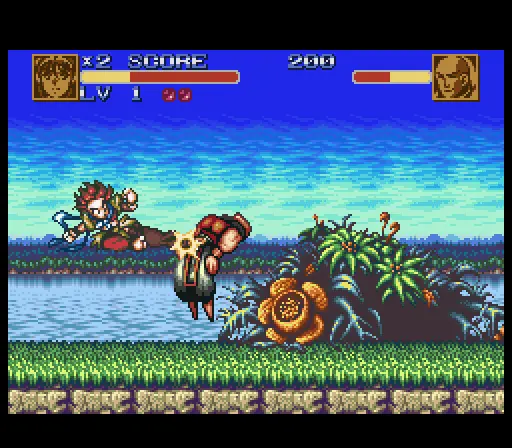 battle zeque den japan