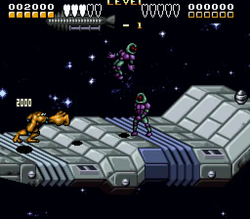 battletoads double dragon the ultimate team usa