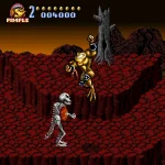 Battletoads In Battlemaniacs Usa Beta