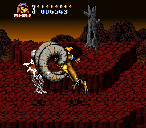 battletoads in battlemaniacs usa