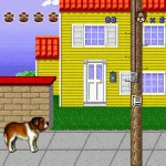 Beethoven S 2Nd The Ultimate Canine Caper Usa