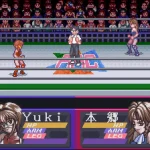 Bishoujo Wrestler Retsuden Blizzard Yuki Rannyuu Japan