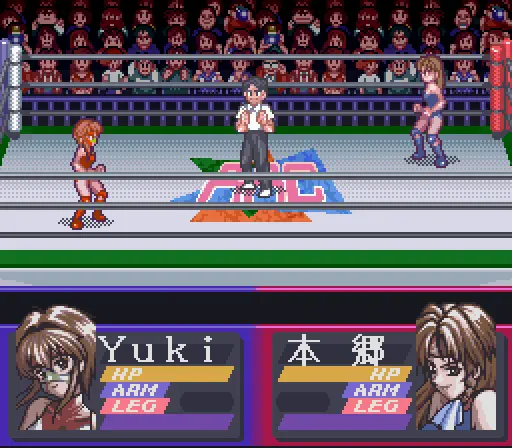 bishoujo wrestler retsuden blizzard yuki rannyuu japan