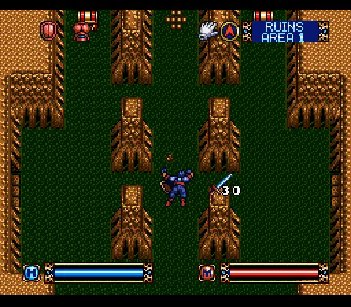 brandish usa