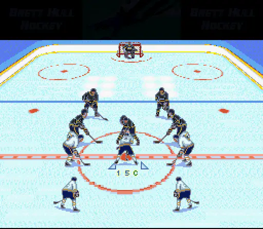brett hull hockey europe