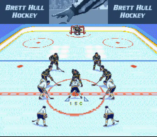 brett hull hockey usa